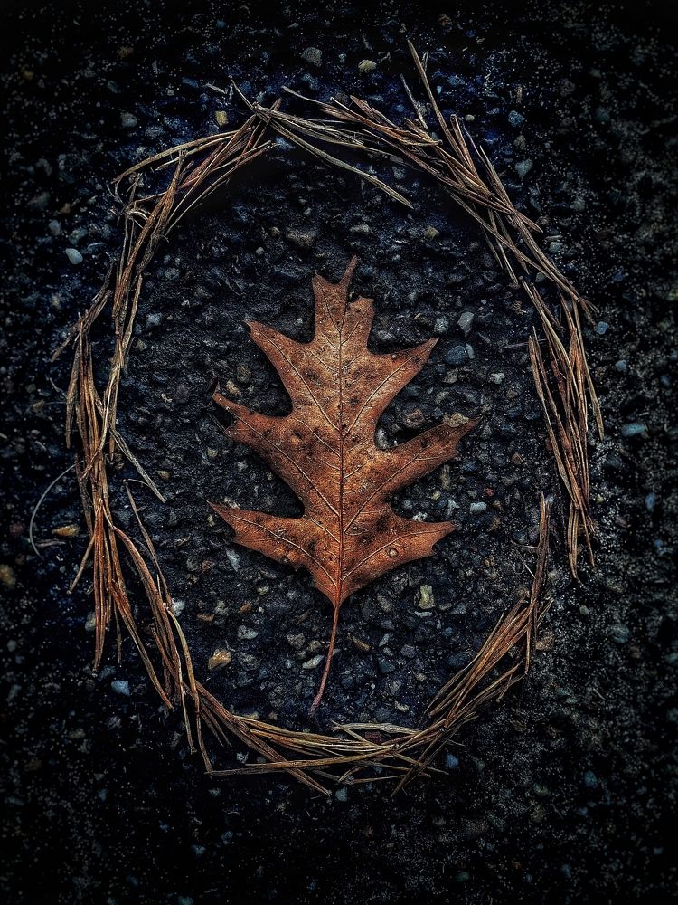 Фотография автора Abdullatif Badnjki