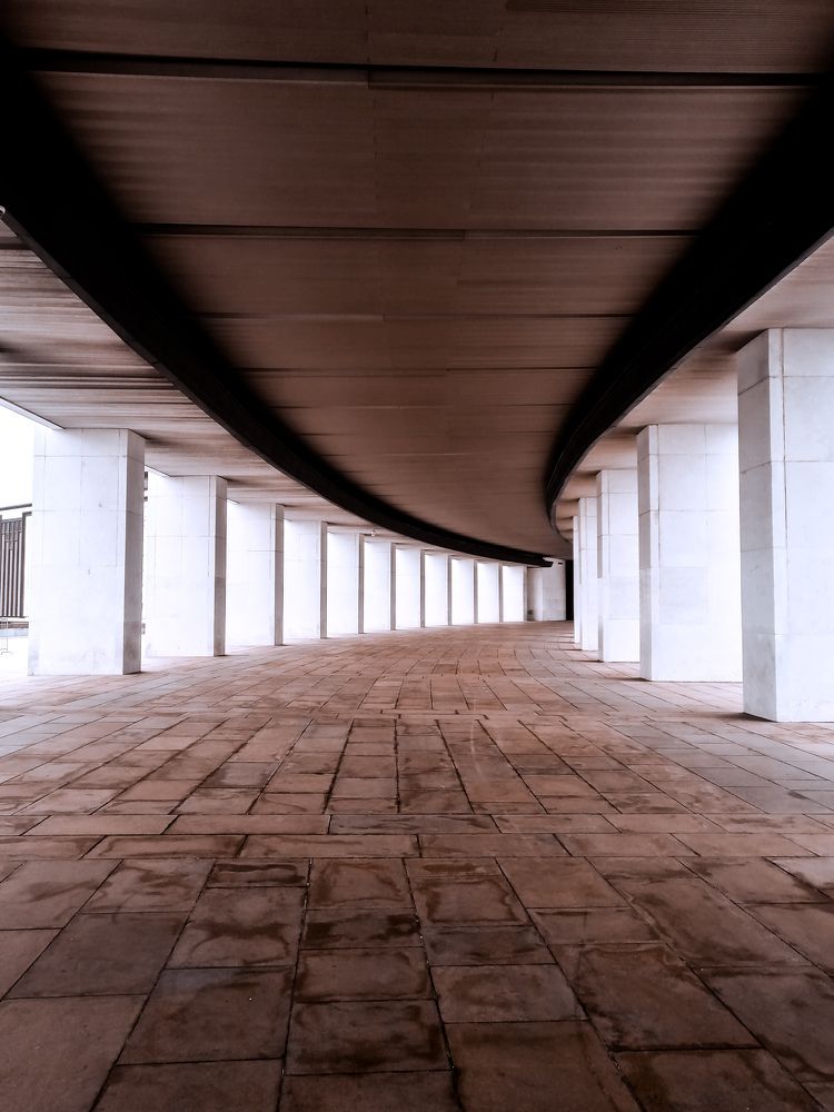 Фотография автора Пищулова Анастасия