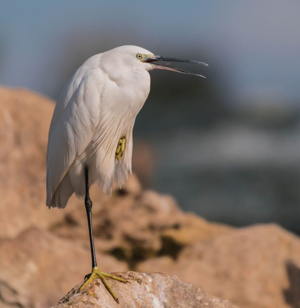 Photograph by Ahmed Kamal