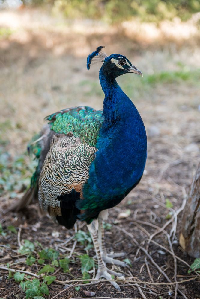 Photograph by Евгений Моляшов