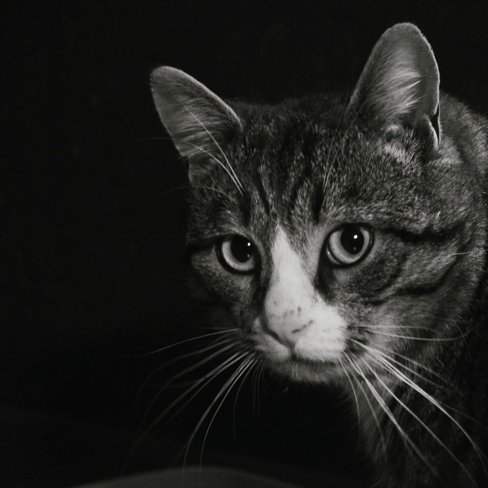 Photograph by Сесилия