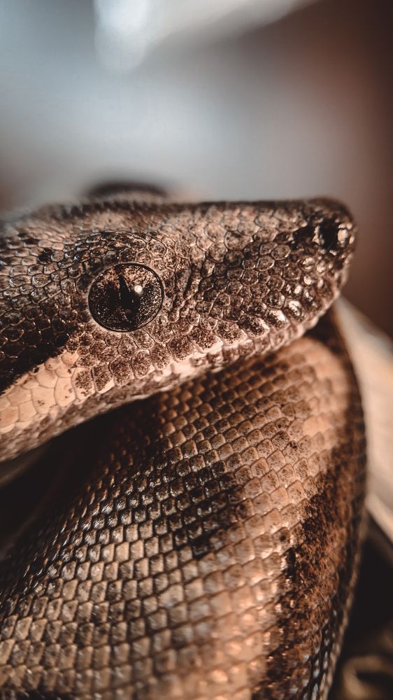 Photograph by Ксения Хачатурова