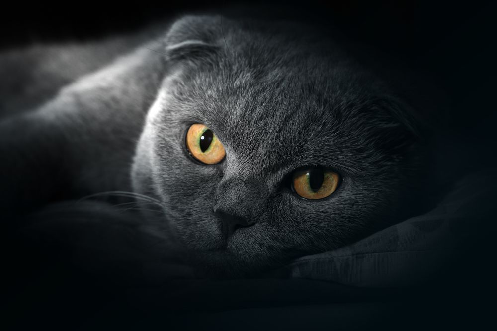 Photograph by Михаил