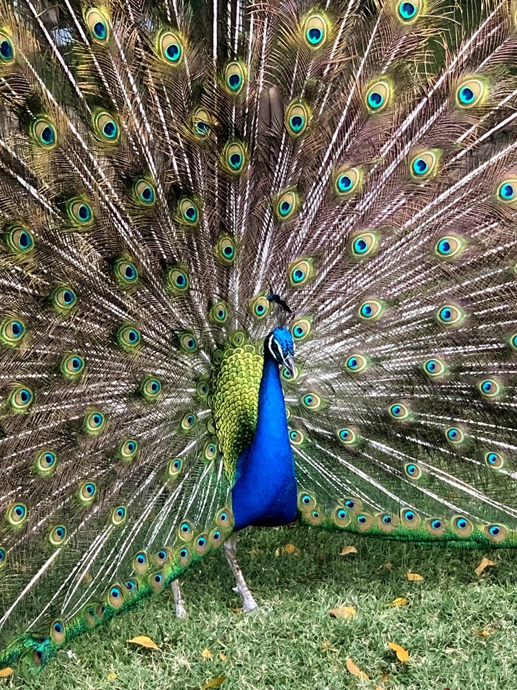 Photograph by Liliana Grup