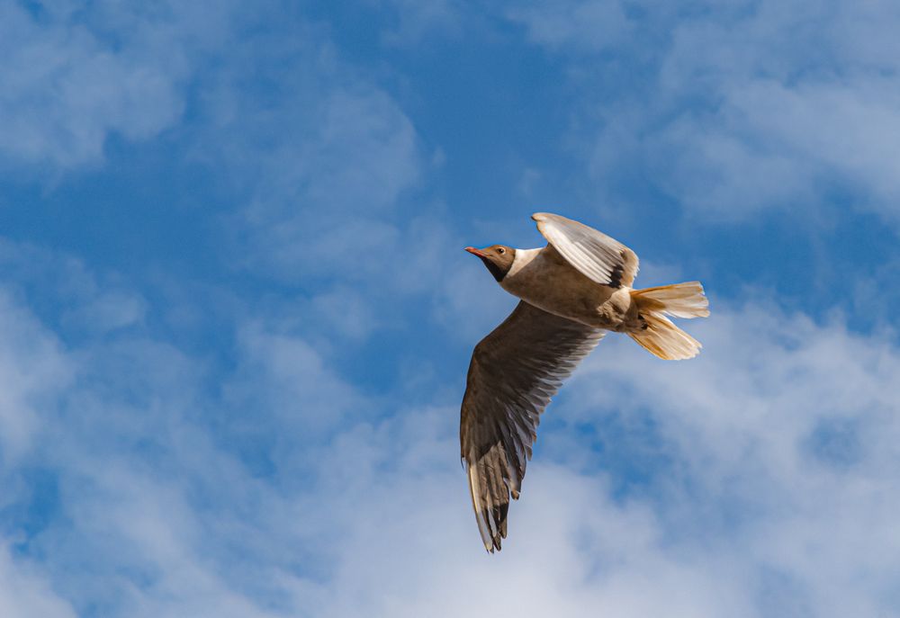 Photograph by Viktor Lazarev