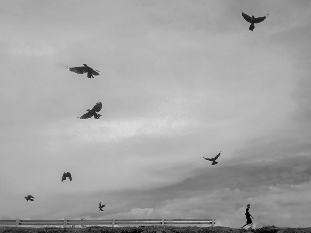 Photograph by Hasan Mehedi Amin