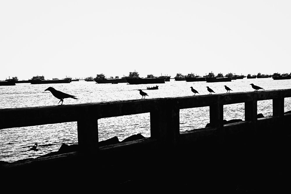 Photograph by Hasan Mehedi Amin