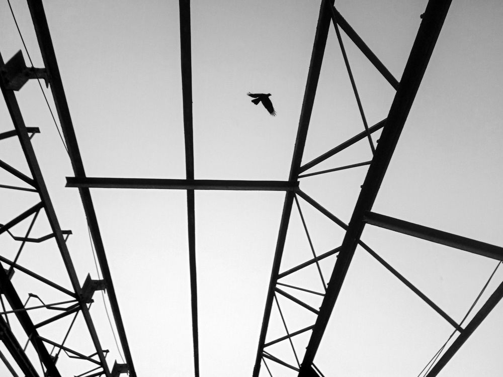 Photograph by Hasan Mehedi Amin