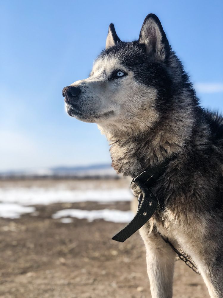 Photograph by Ирина Маркина