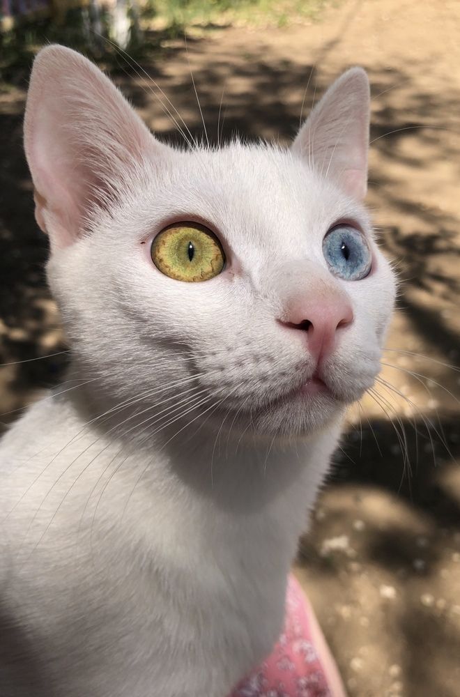 Photograph by Ирина Маркина