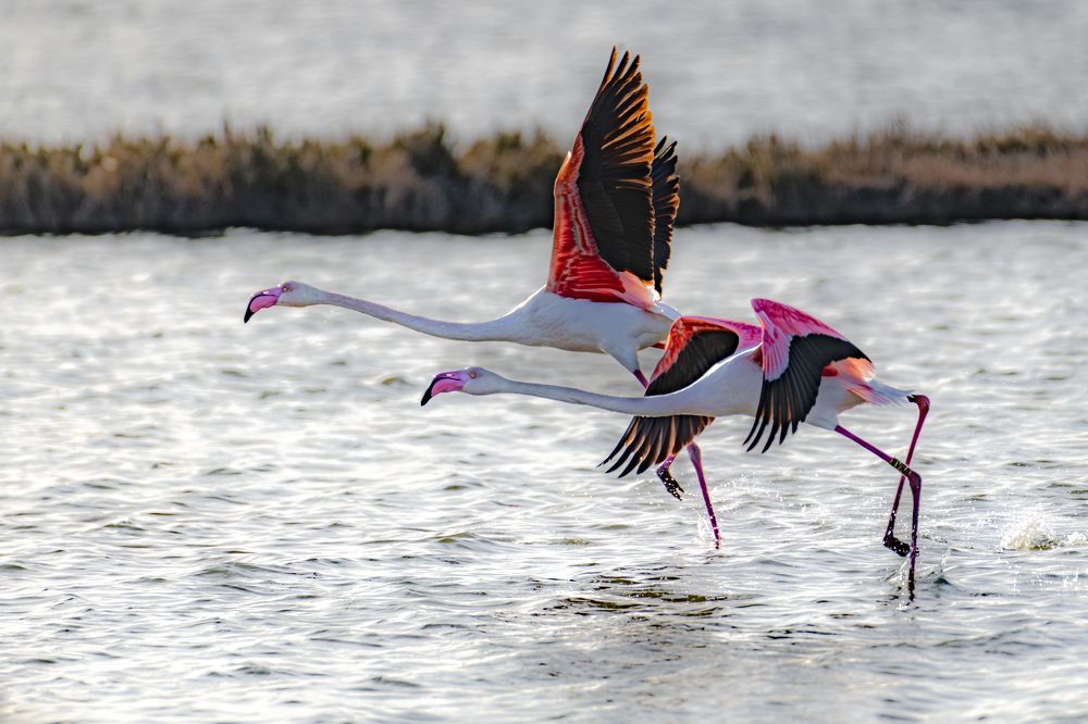 Photograph by Francisco José López Fernández