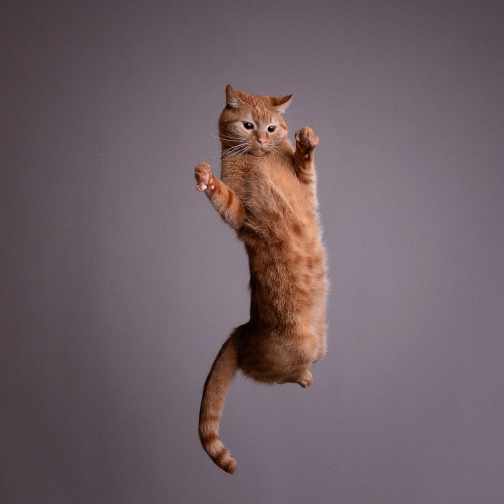 Photograph by Вероника Раевская