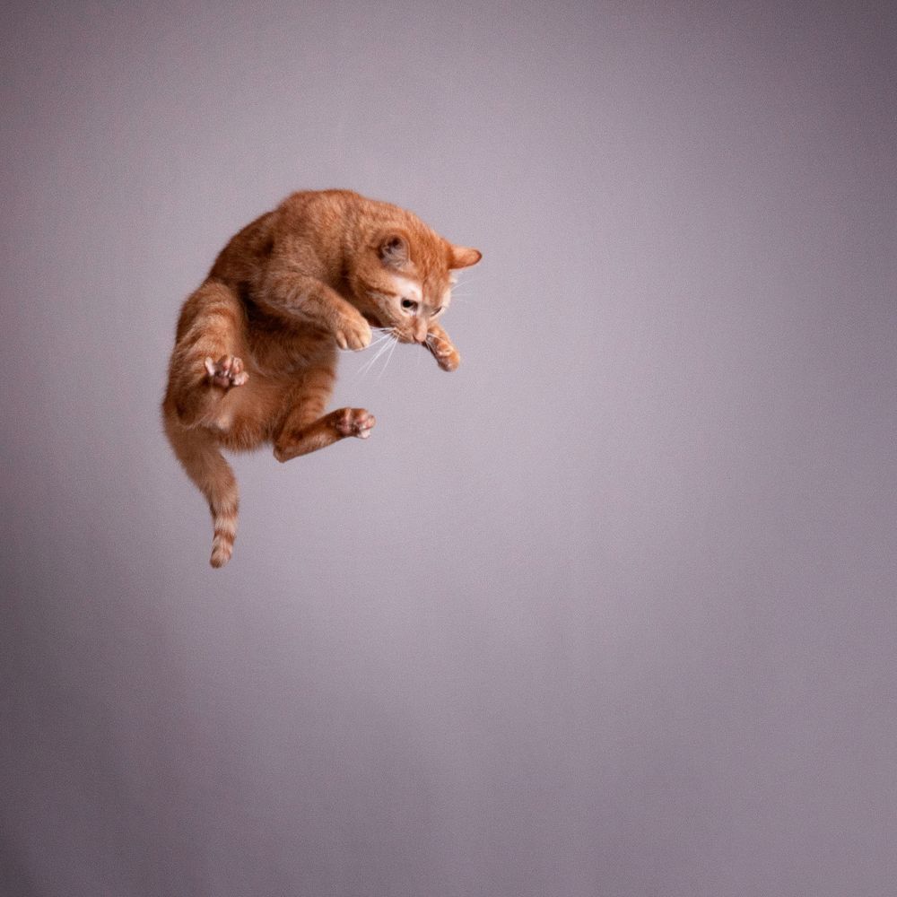 Photograph by Вероника Раевская