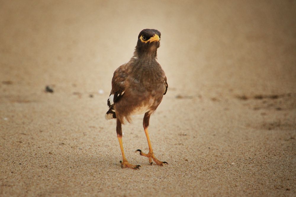 Photograph by Вероника Раевская