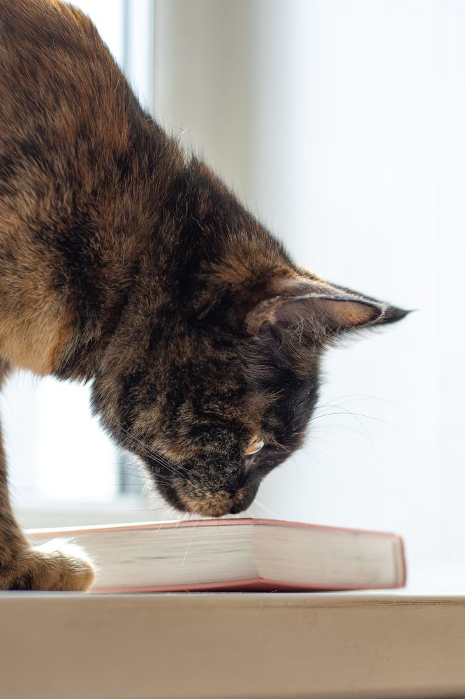 Photograph by Наталья Мотрий