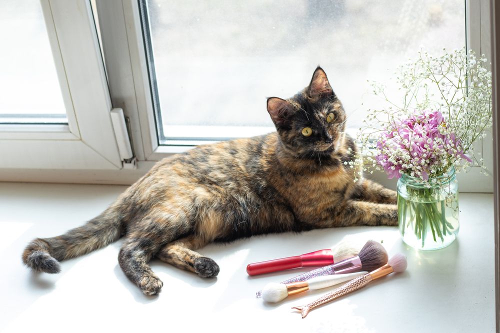 Photograph by Наталья Мотрий