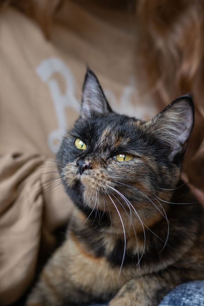 Photograph by Наталья Мотрий