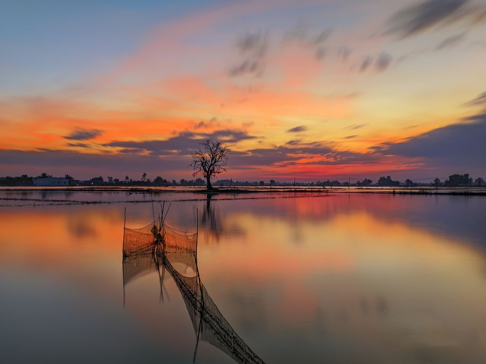 Photograph by Trung Nguyễn