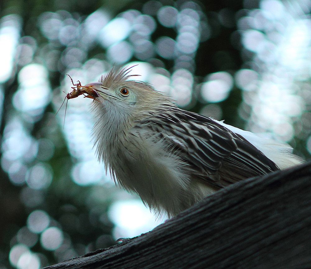 Photograph by Jason Hioe