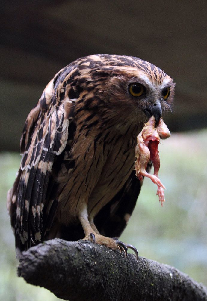 Photograph by Jason Hioe