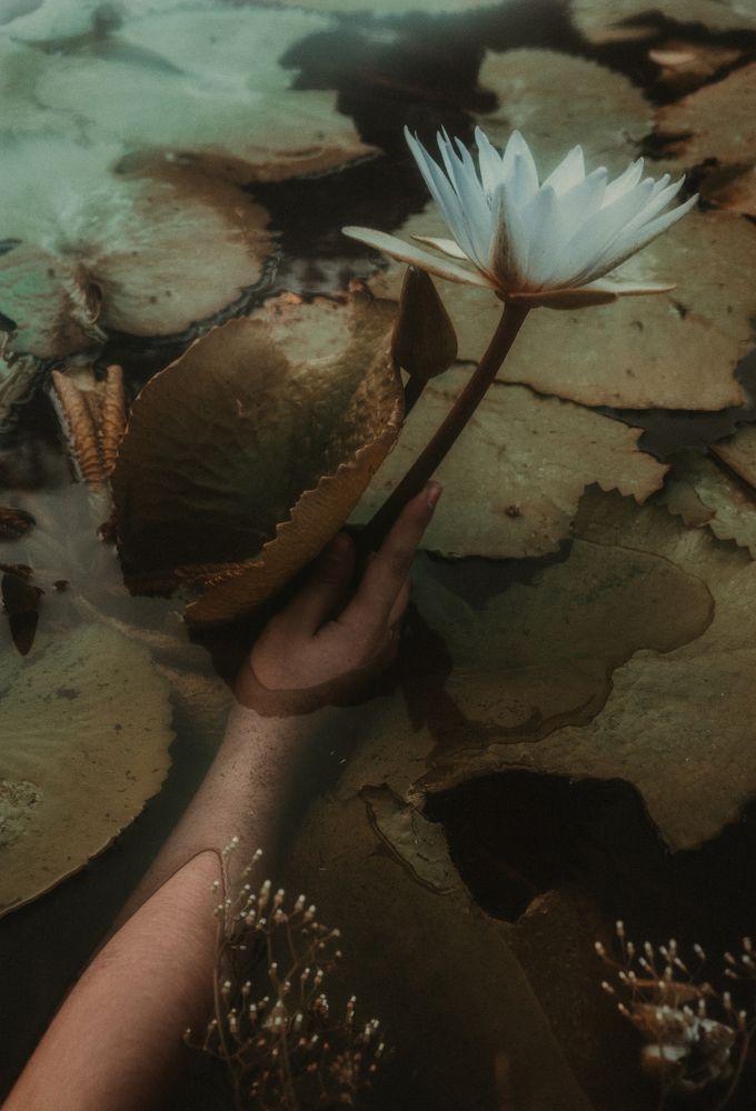 Photograph by Armando Gonzalez