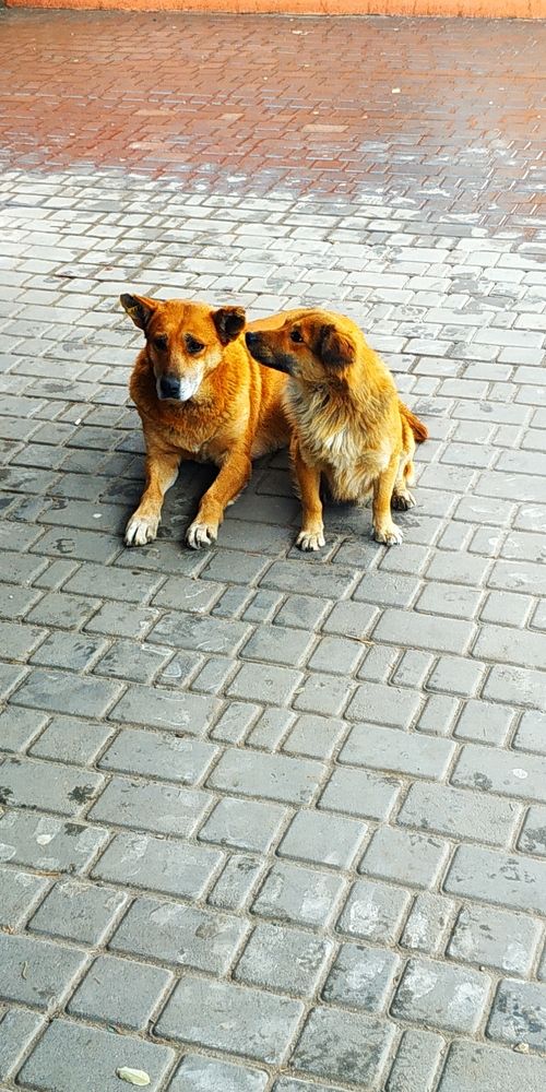 Photograph by Сергей Зиньковский