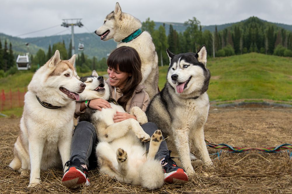 Photograph by Сергей Князев