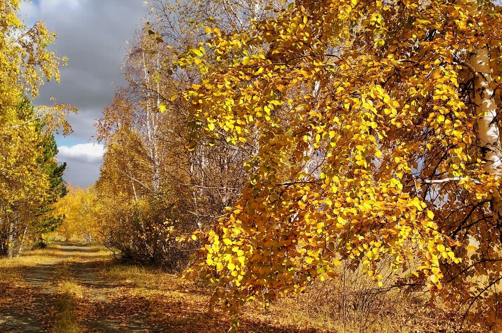 Photograph by Сергей Марков