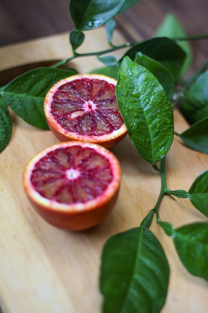 Photograph by Жанна Цветкова