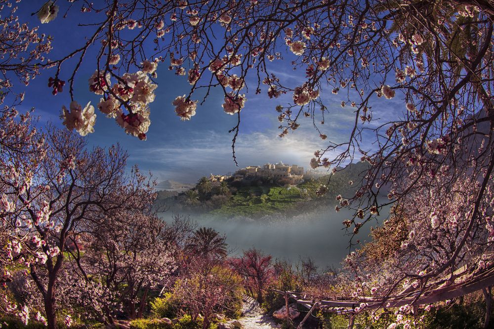 Village and was in the Sultanate of Oman