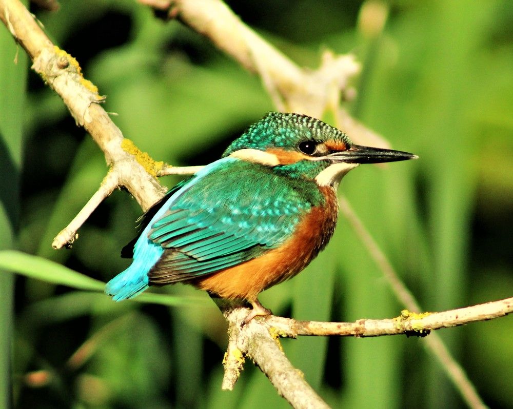 Photograph by Юлия Черкасова