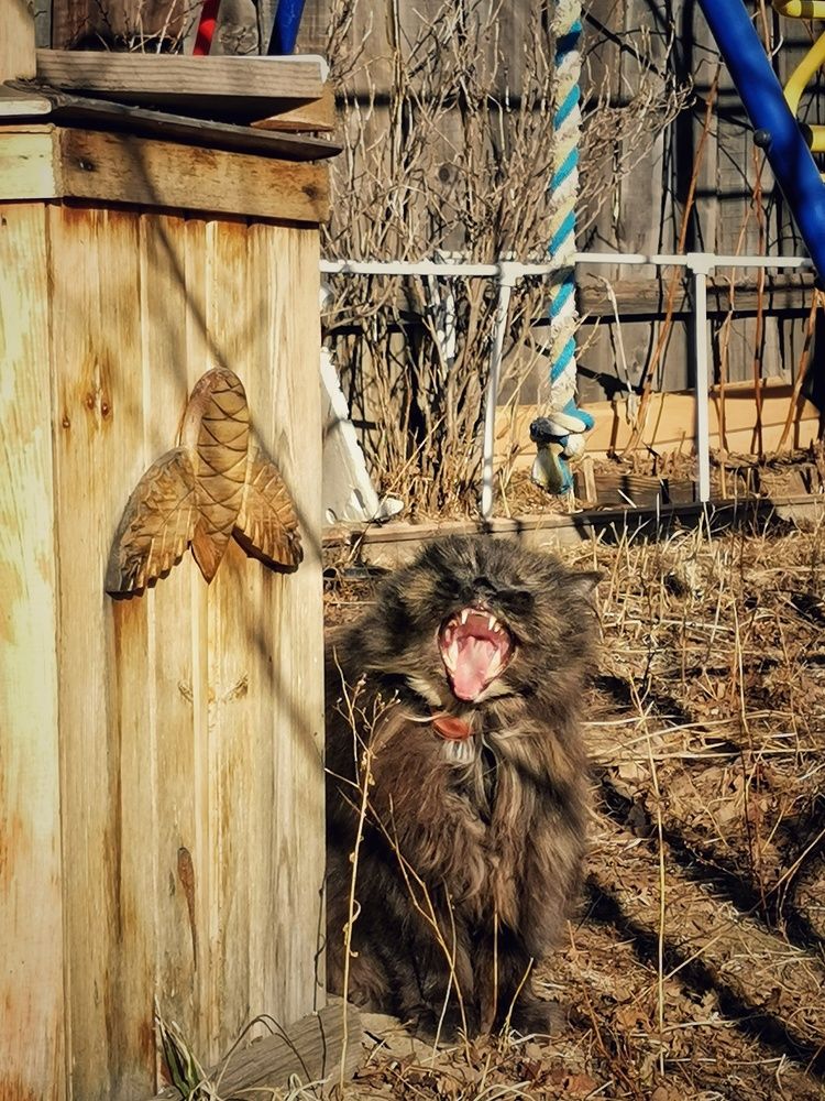 Photograph by Наталья Горбачева