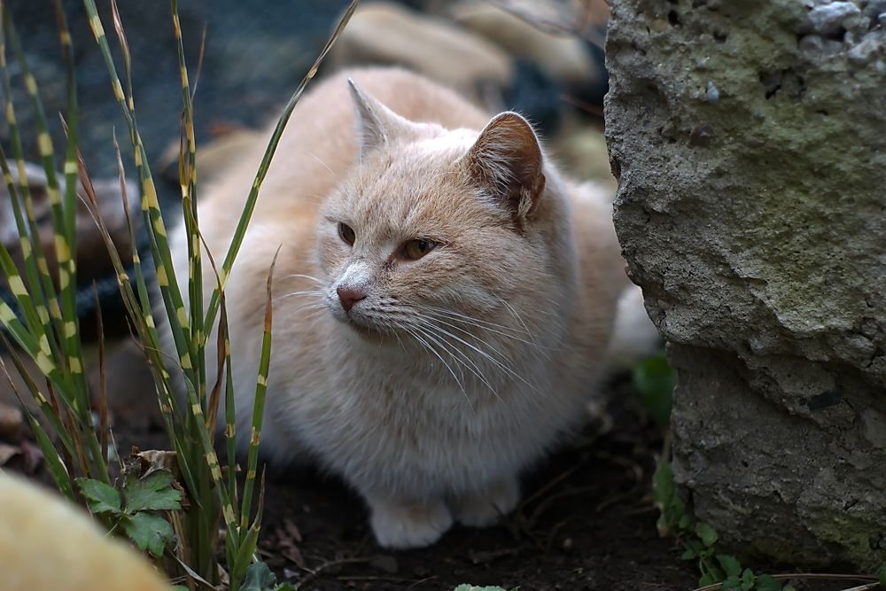 Photograph by Анатолий Святой