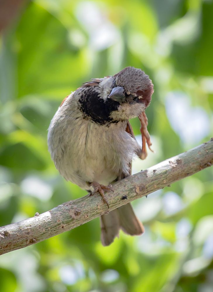 Photograph by Katja Sen