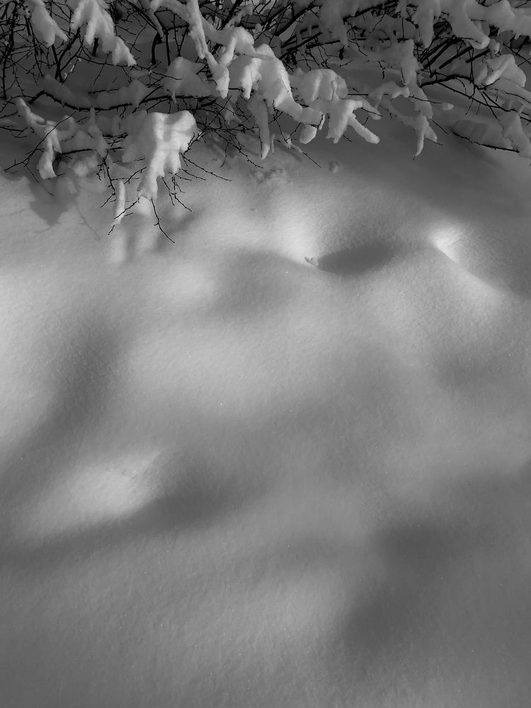 Photograph by Юлия Литвинова