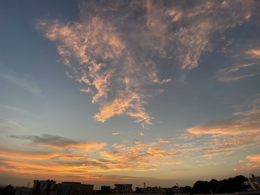 Photograph by Sharma Dr Megha