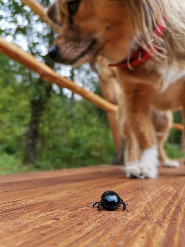 Photograph by Наталья Горбачева