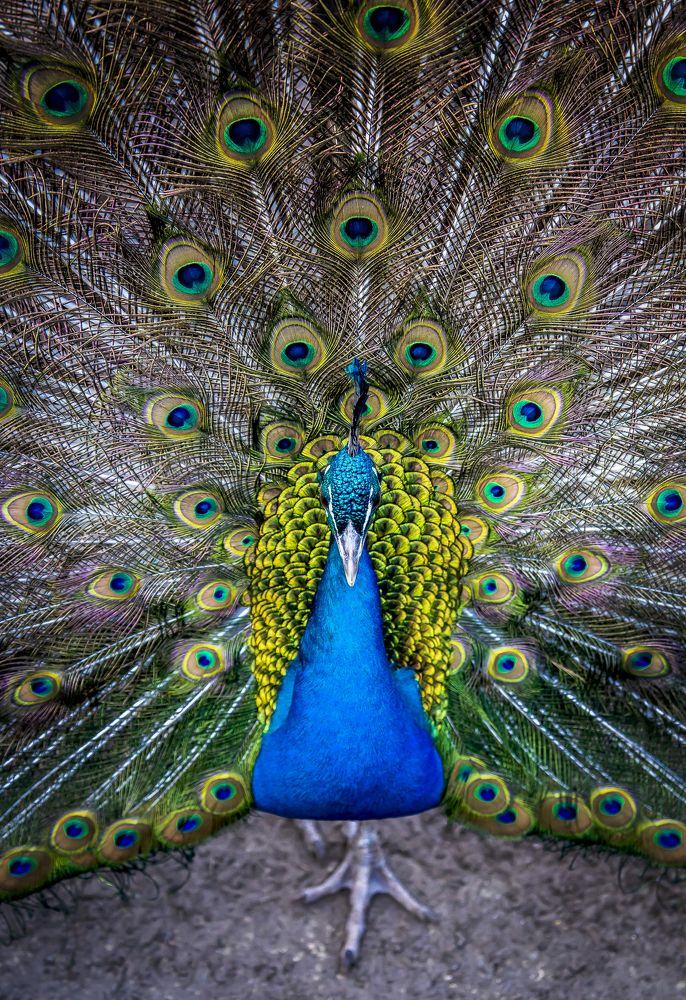 Photograph by Katja Sen