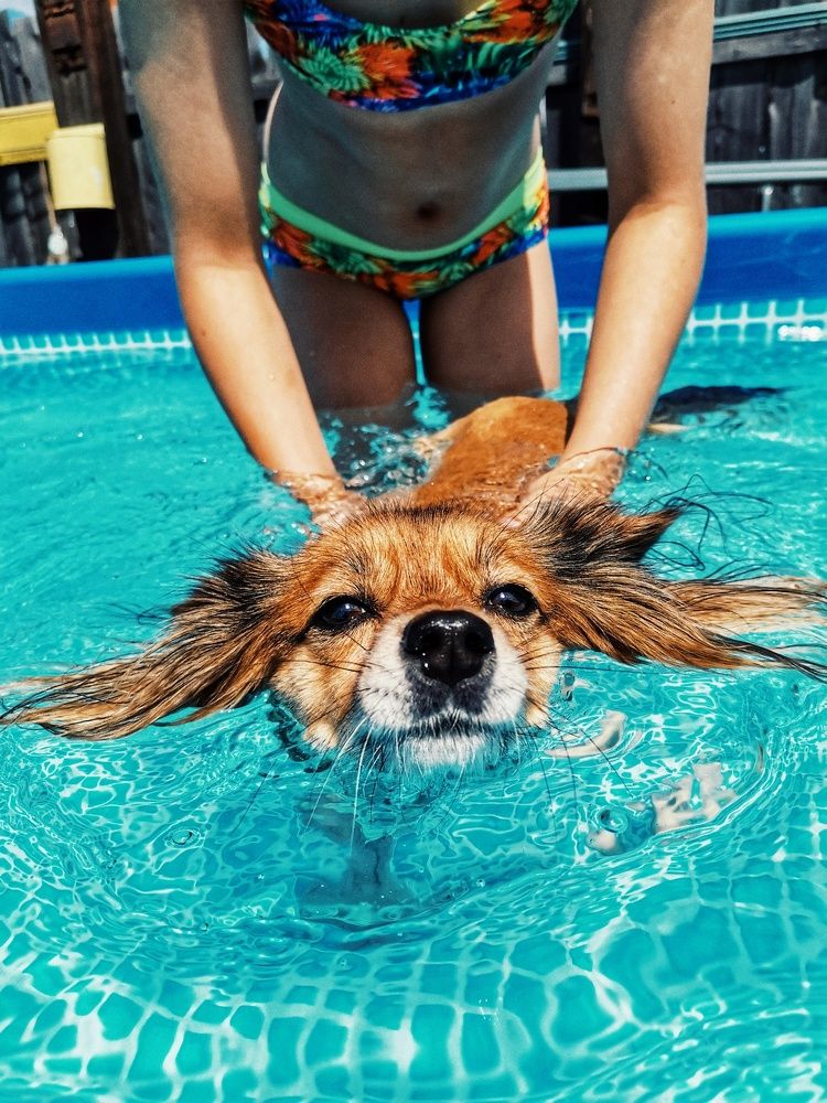 Photograph by Наталья Горбачева