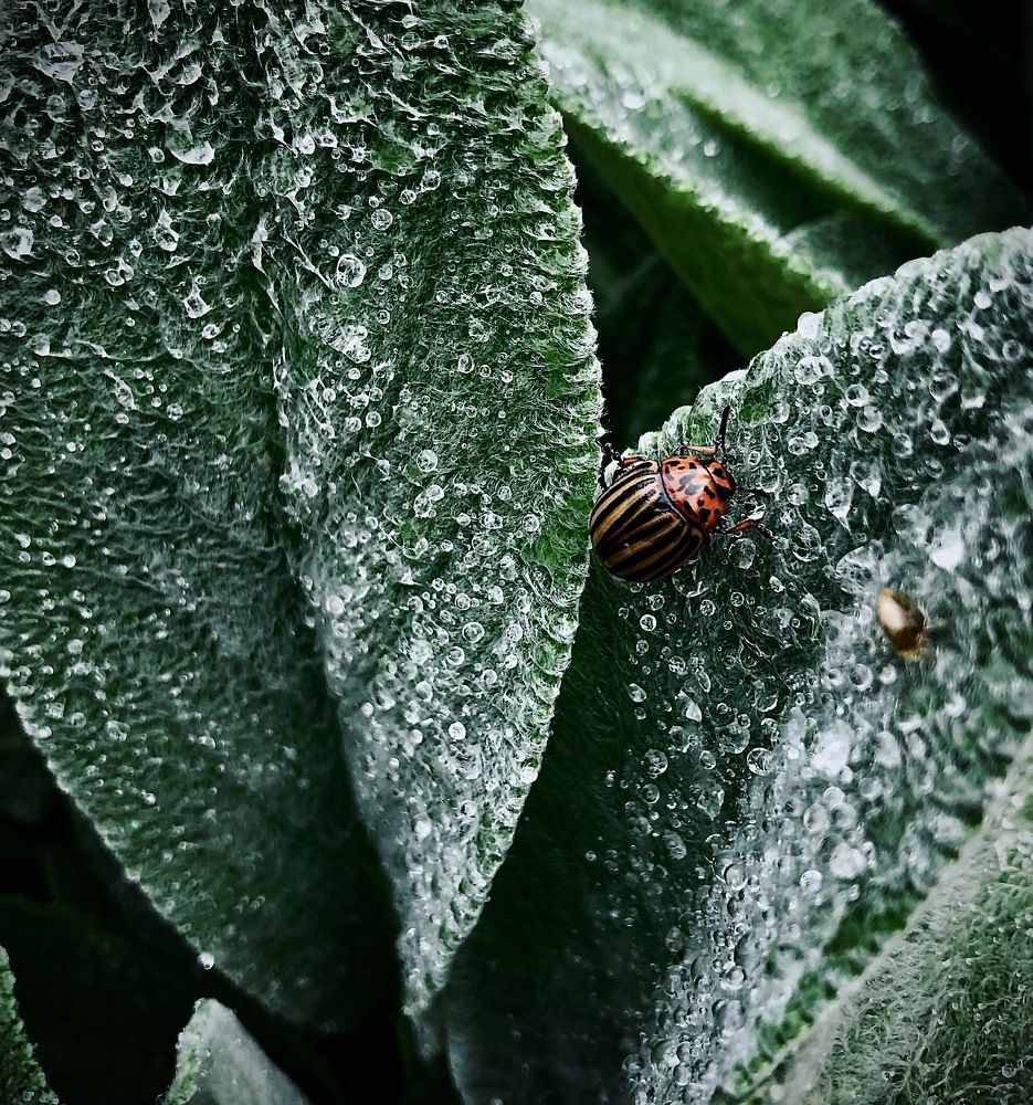 Photograph by Наталья Гранфельд