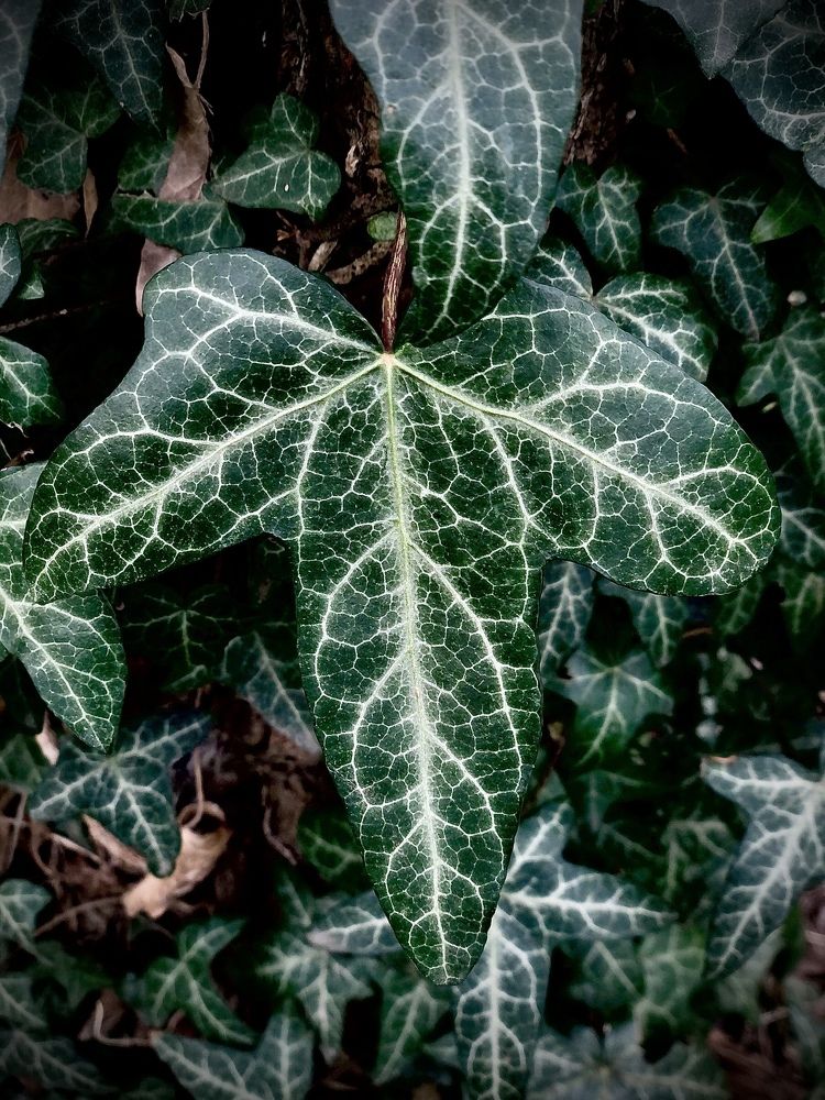 Photograph by Наталья Гранфельд