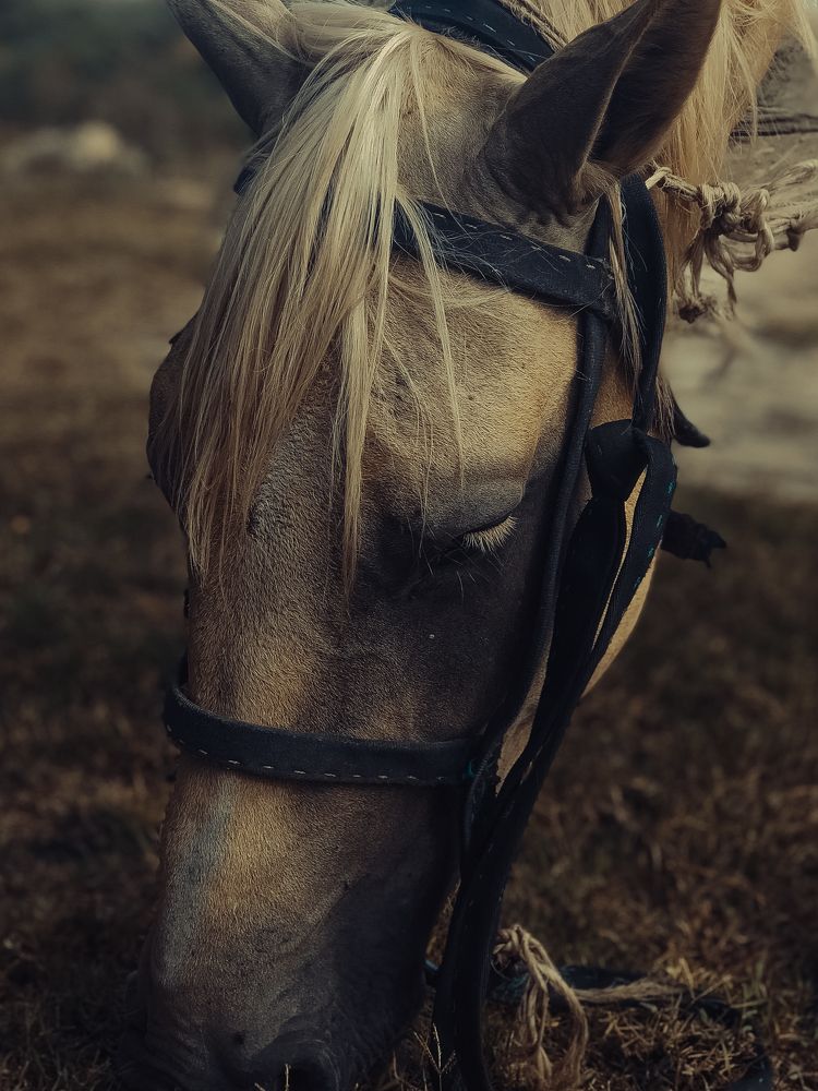 Photograph by Марат Болатханов