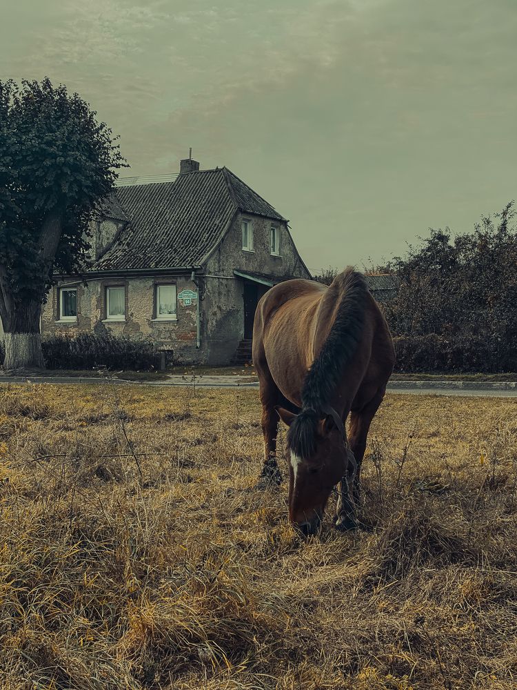 Photograph by Марат Болатханов