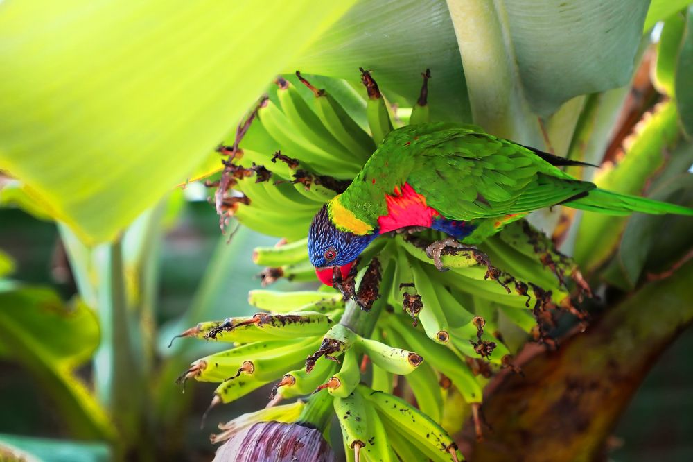 Фотография автора Evgeny Gorbunov