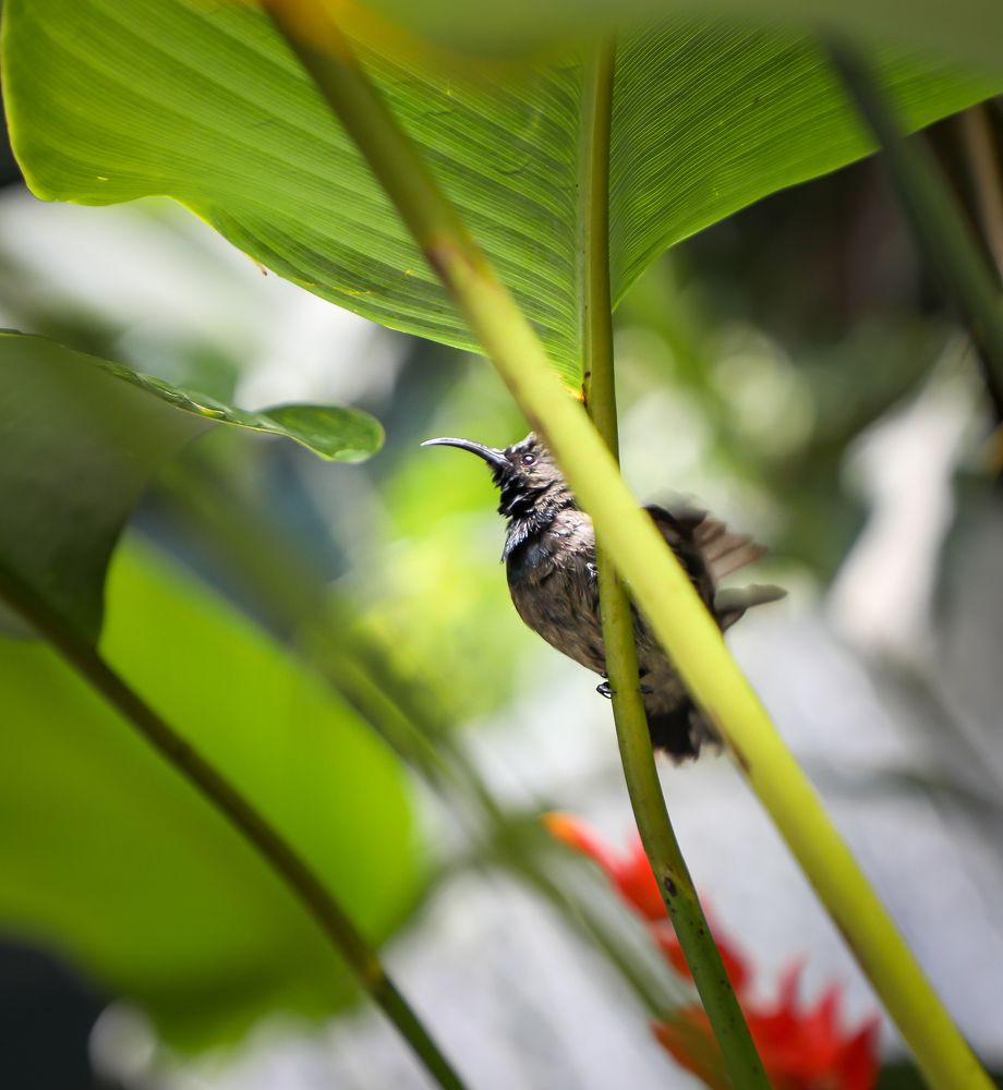 Фотография автора Evgeny Gorbunov