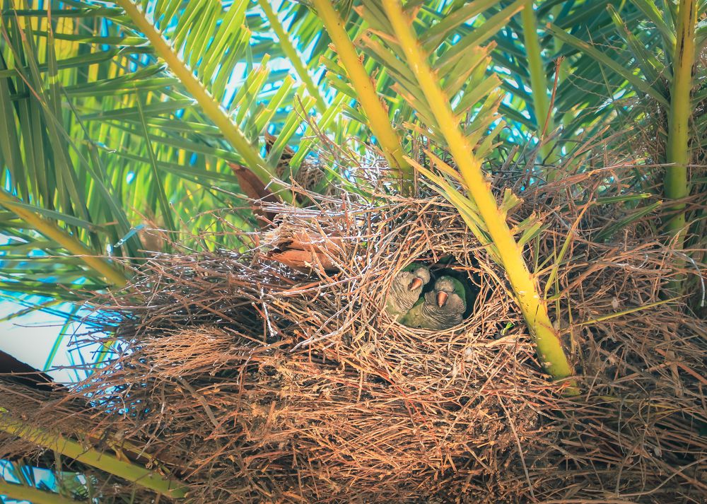 Фотография автора Evgeny Gorbunov