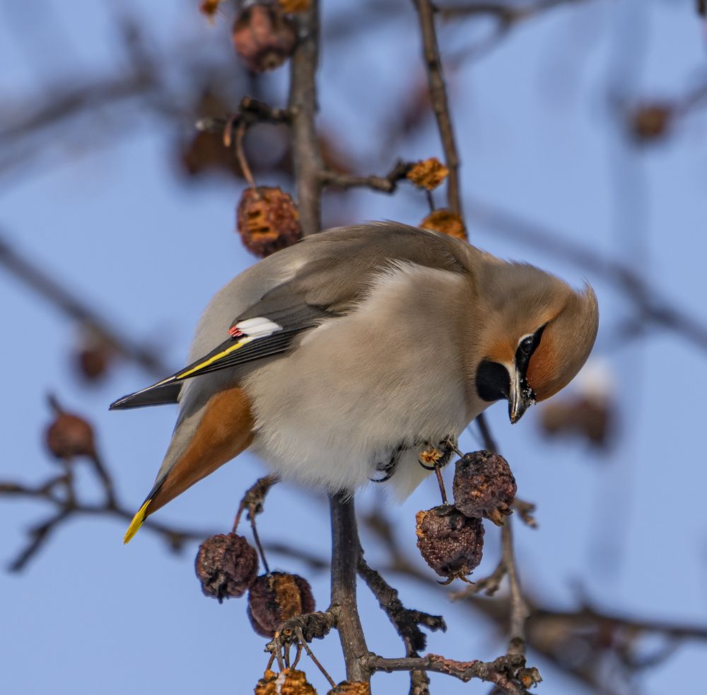 Photograph by Юрий Чернов