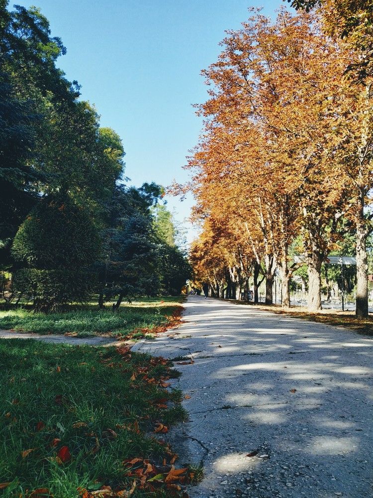 Photograph by Валентина Протащик