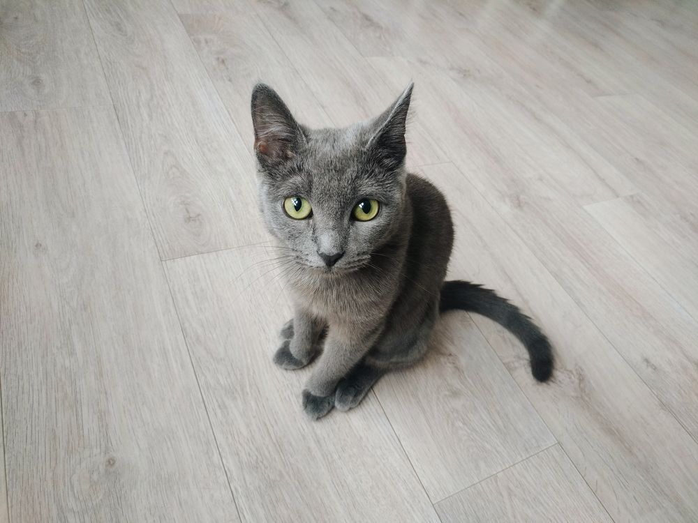 Photograph by Дмитрий Стрельцов