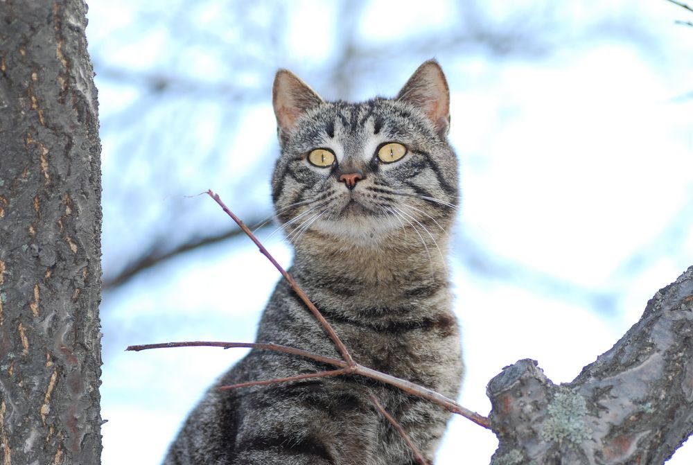 Photograph by Оксана Трофименко